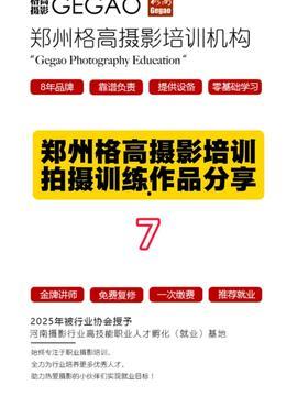 业余视频网,揭秘网络短视频的魅力与挑战